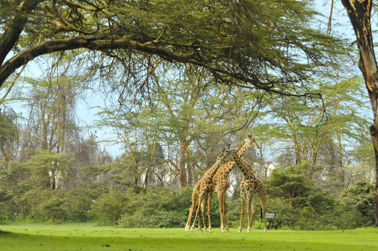 Lake Naivasha Sopa Resort מראה חיצוני תמונה