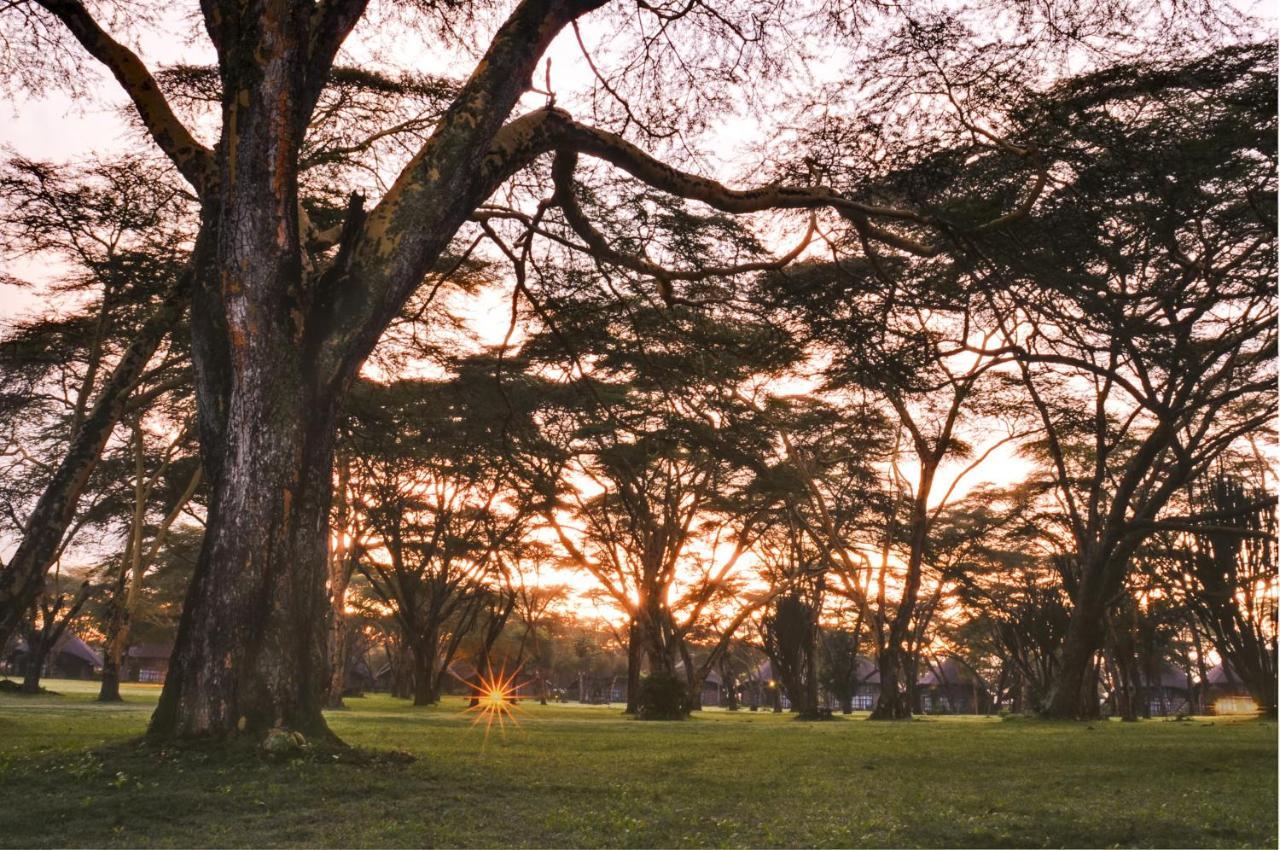 Lake Naivasha Sopa Resort מראה חיצוני תמונה